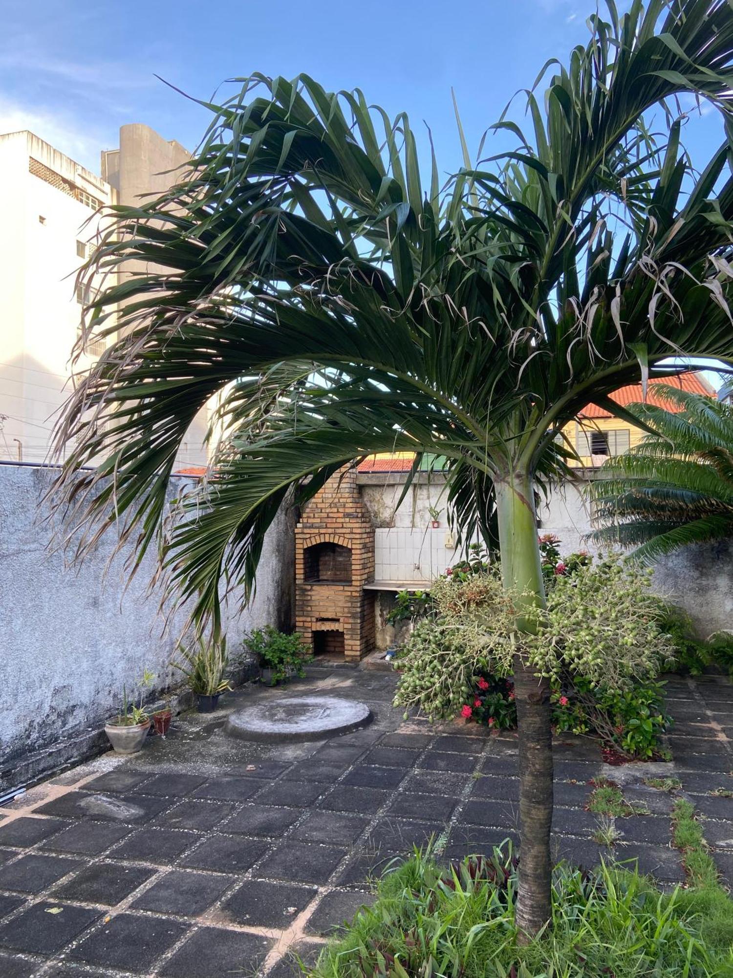 Apto Exclusivo, 200M Da Praia, Horario Flexivel 24 Horas Fortaleza Dış mekan fotoğraf